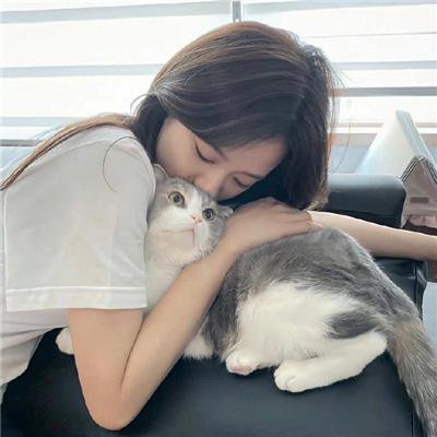 狮子彻夜未眠